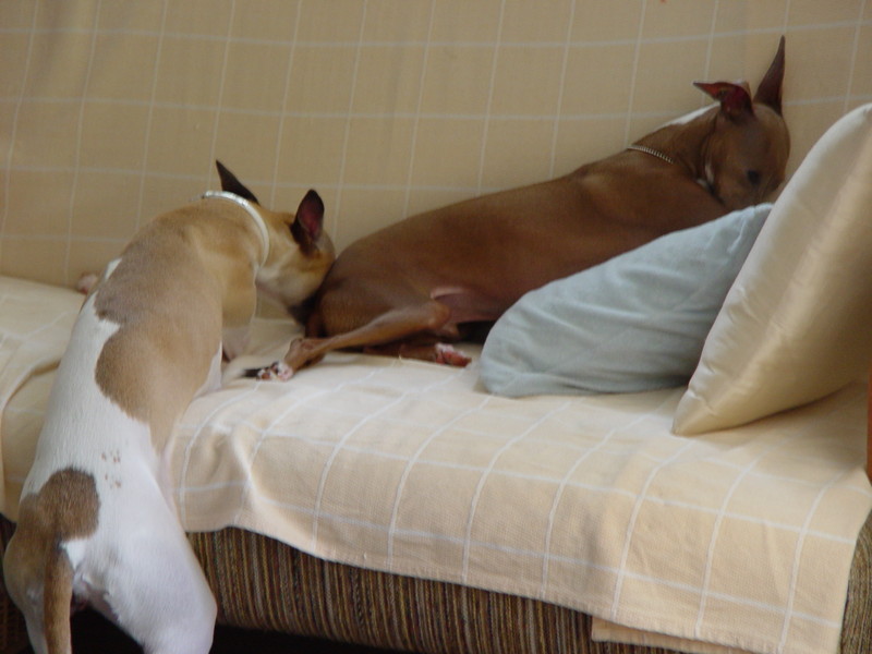 f:id:joju8:20090626133058j:image:w300