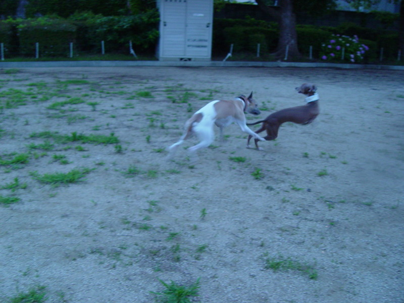 f:id:joju8:20090626191549j:image:w500