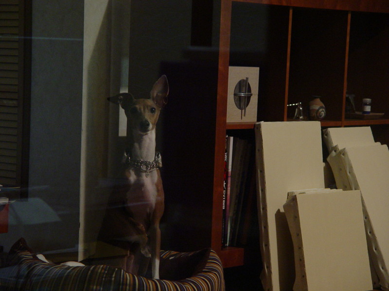 f:id:joju8:20090626202631j:image:w500