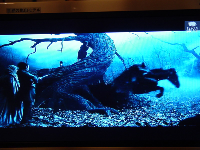 f:id:joju8:20090825231412j:image:w500