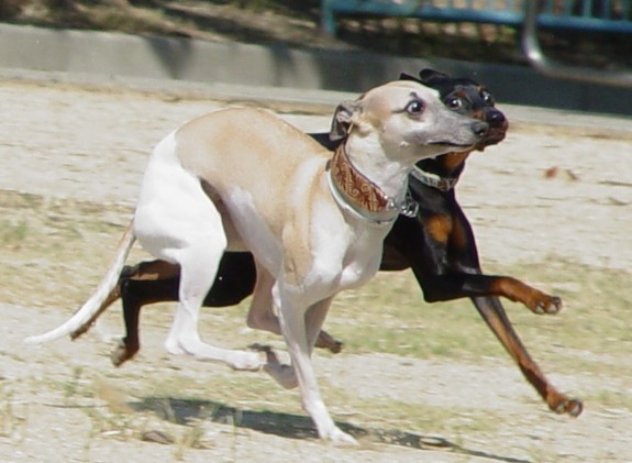 f:id:joju8:20090904003745j:image:w500 f:id:joju8:20090904003745j:image:w500