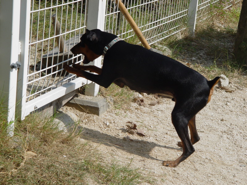 f:id:joju8:20090906140507j:image:w500