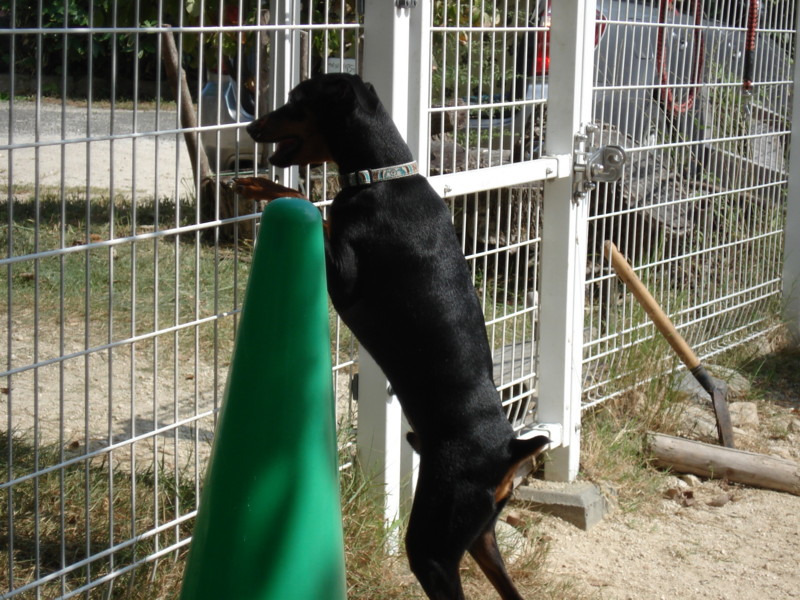 f:id:joju8:20090906140649j:image:w500