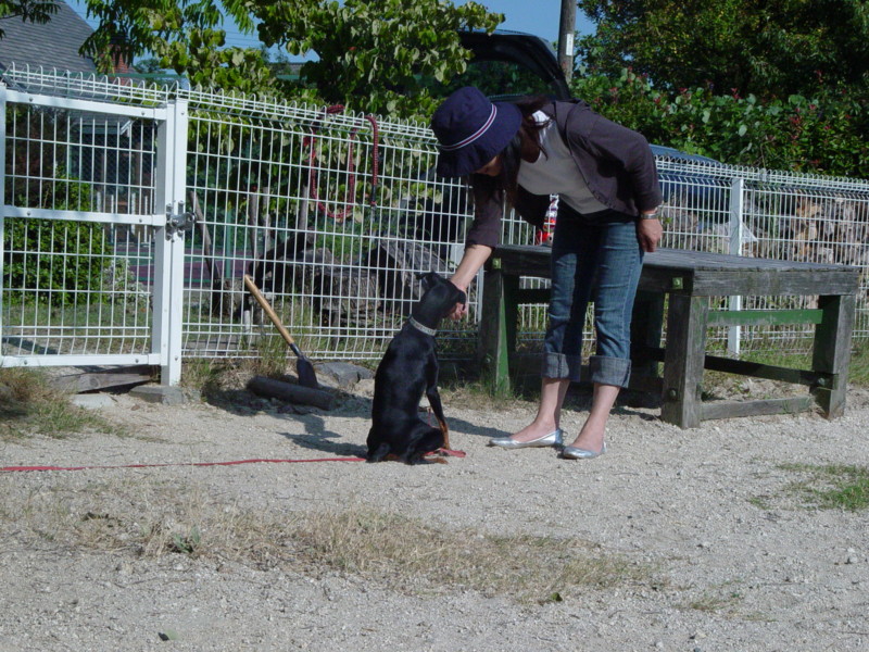 f:id:joju8:20090906152610j:image:w500