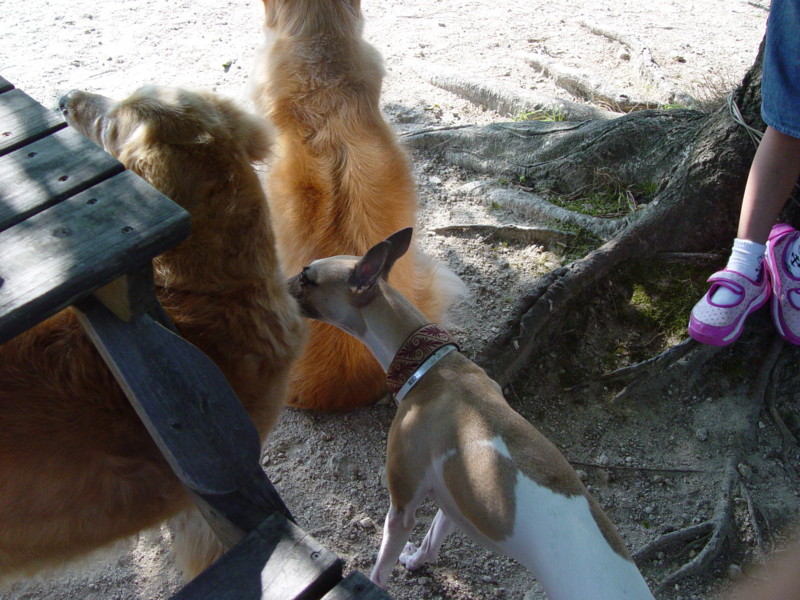 f:id:joju8:20090906155505j:image:w500