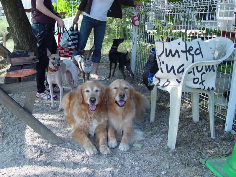 f:id:joju8:20090906161501j:image:w500