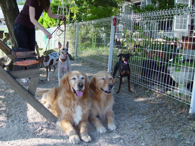 f:id:joju8:20090906161607j:image:w500