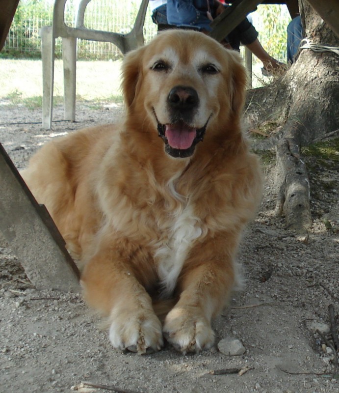 f:id:joju8:20090907234936j:image:w350