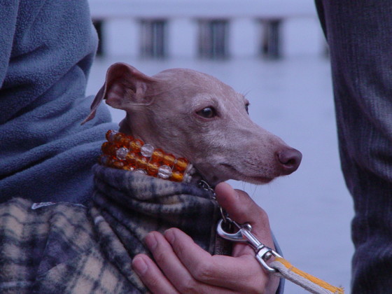 f:id:joju8:20091122113828j:image:w300 f:id:joju8:20091122113828j:image:w300