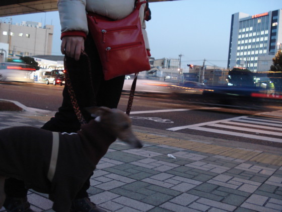 f:id:joju8:20091208171203j:image:w400 f:id:joju8:20091208171203j:image:w400