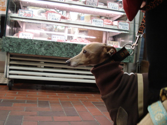 f:id:joju8:20091208174608j:image:w400 f:id:joju8:20091208174608j:image:w400