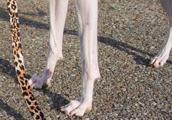 f:id:joju8:20091210032140j:image:w350 f:id:joju8:20091210032140j:image:w350