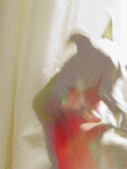 f:id:joju8:20091216110736j:image:w300 f:id:joju8:20091216110736j:image:w300