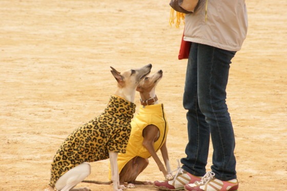 f:id:joju8:20100329111929j:image