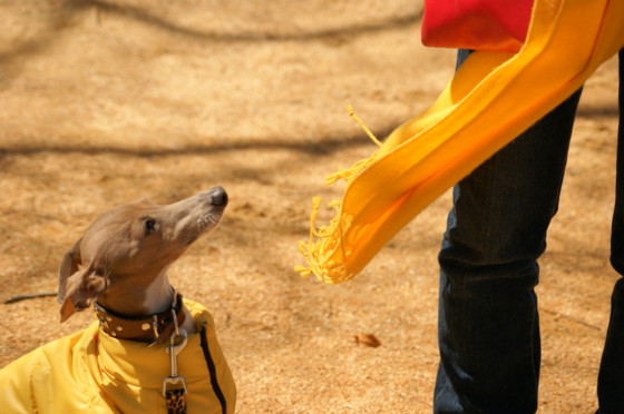 f:id:joju8:20100329123307j:image