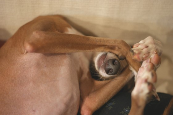 f:id:joju8:20100412011811j:image:w400