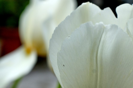 f:id:joju8:20100416154030j:image:w500