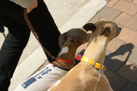 f:id:joju8:20100502121150j:image:w500