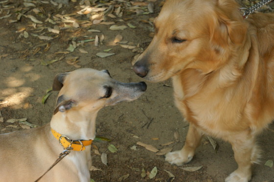 f:id:joju8:20100502121801j:image:w500