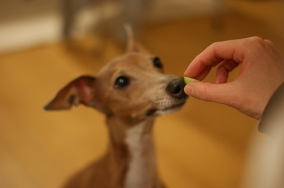 f:id:joju8:20100502223459j:image:w500