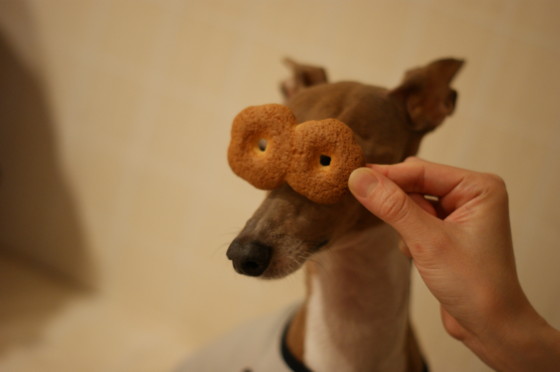 f:id:joju8:20100512211738j:image f:id:joju8:20100512211738j:image