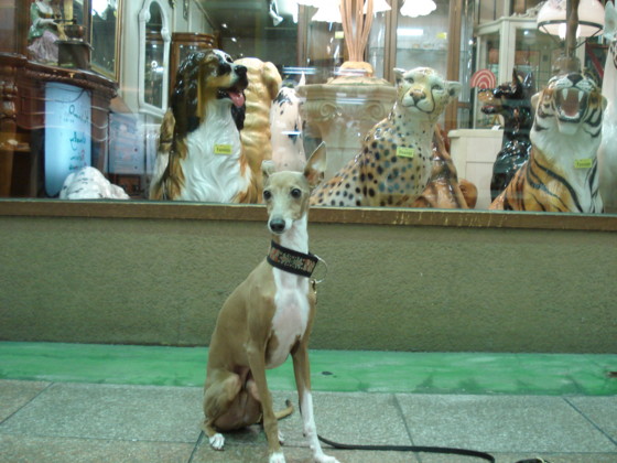 f:id:joju8:20100621174930j:image:w400 f:id:joju8:20100621174930j:image:w400