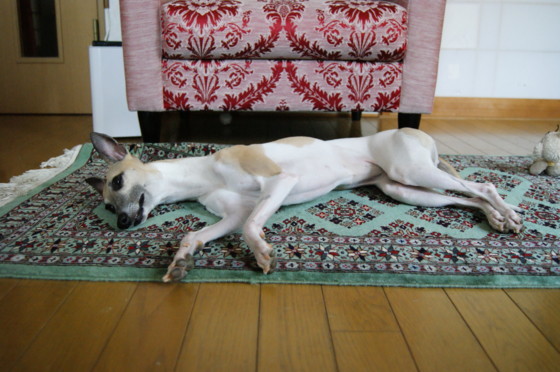 f:id:joju8:20100622112034j:image f:id:joju8:20100622112034j:image