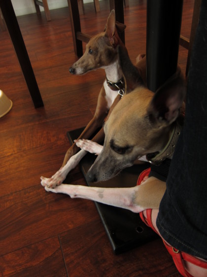 f:id:joju8:20100702135158j:image:w300 f:id:joju8:20100702135158j:image:w300