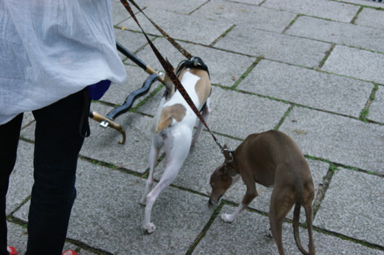 f:id:joju8:20100702162727j:image:w400 f:id:joju8:20100702162727j:image:w400