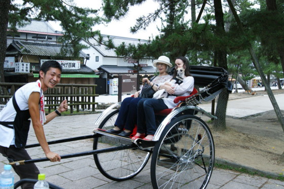 f:id:joju8:20100702163101j:image:w500 f:id:joju8:20100702163101j:image:w500