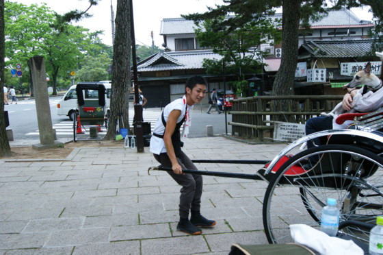 f:id:joju8:20100702163106j:image:w500 f:id:joju8:20100702163106j:image:w500