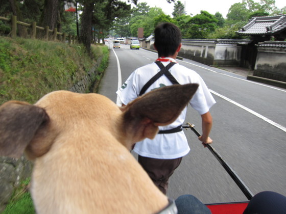 f:id:joju8:20100702163458j:image f:id:joju8:20100702163458j:image