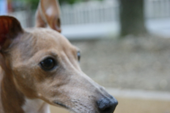 f:id:joju8:20100702163522j:image:w400 f:id:joju8:20100702163522j:image:w400