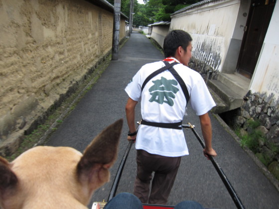 f:id:joju8:20100702163535j:image:w500 f:id:joju8:20100702163535j:image:w500