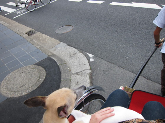 f:id:joju8:20100702164123j:image:w400 f:id:joju8:20100702164123j:image:w400