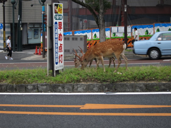 f:id:joju8:20100702164745j:image:w300 f:id:joju8:20100702164745j:image:w300