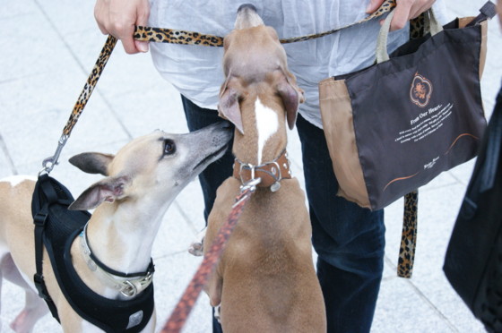 f:id:joju8:20100702164854j:image:w400 f:id:joju8:20100702164854j:image:w400