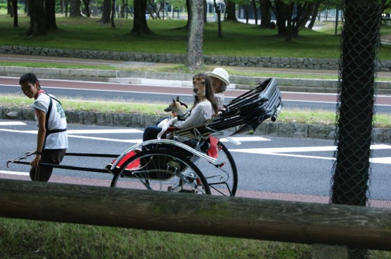 f:id:joju8:20100706231320j:image f:id:joju8:20100706231320j:image