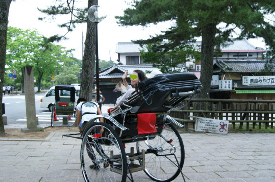 f:id:joju8:20100706235106j:image:w500 f:id:joju8:20100706235106j:image:w500