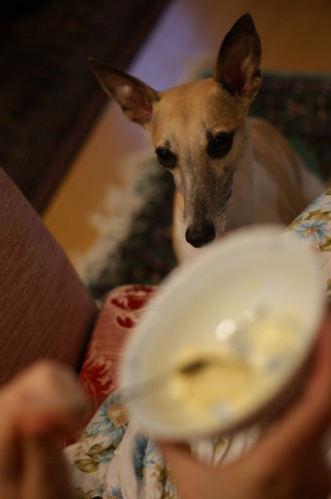 f:id:joju8:20100714173311j:image:w200