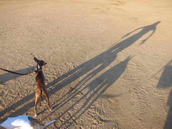 f:id:joju8:20100717180956j:image f:id:joju8:20100717180956j:image