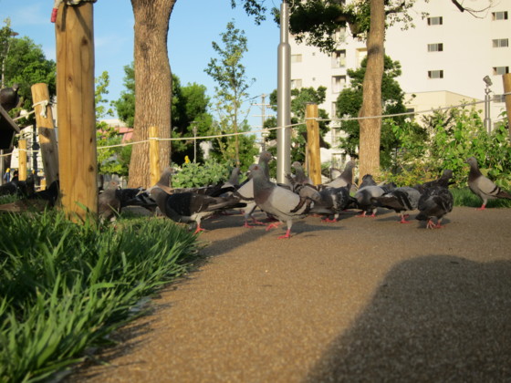 f:id:joju8:20100717181434j:image:w400 f:id:joju8:20100717181434j:image:w400