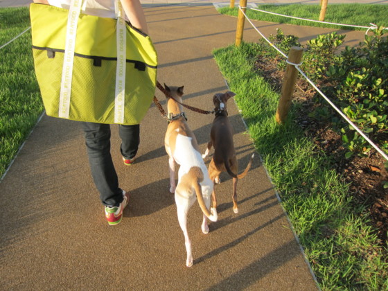 f:id:joju8:20100717181619j:image:w400 f:id:joju8:20100717181619j:image:w400