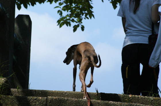 f:id:joju8:20100723093451j:image:w500 f:id:joju8:20100723093451j:image:w500