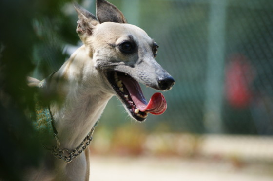 f:id:joju8:20100723094705j:image f:id:joju8:20100723094705j:image