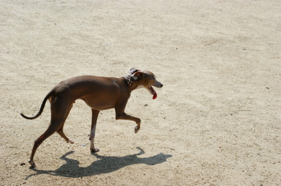 f:id:joju8:20100723095406j:image f:id:joju8:20100723095406j:image