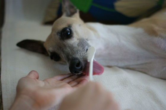 f:id:joju8:20100723102614j:image:w600 f:id:joju8:20100723102614j:image:w600