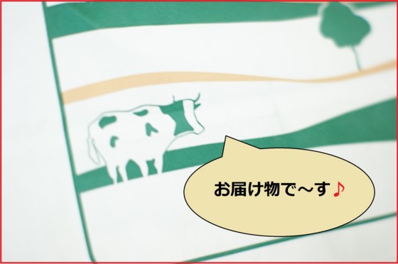 f:id:joju8:20100728143917j:image:w300