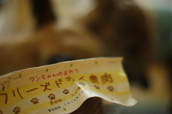 f:id:joju8:20100728152722j:image:w400