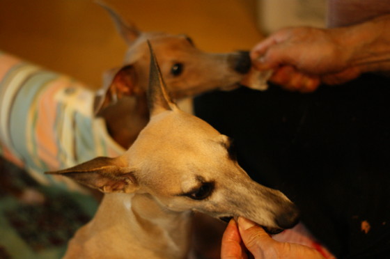 f:id:joju8:20100728153841j:image:w400